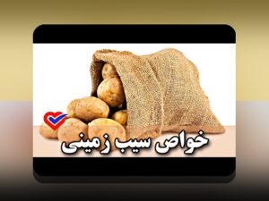 راهنمای جامع بررسی چالش‌ها و راه‌حل‌های مرتبط با عکس سیب برای عکاسان و علاقمندان به هنر عکاسی